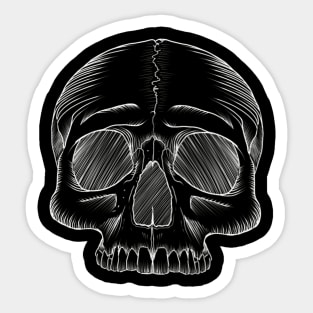 Skull sketch Sticker